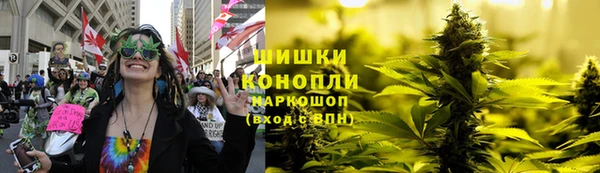 сатива Покров