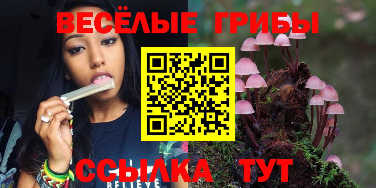Галлюциногенные грибы мухоморы Краснодар
