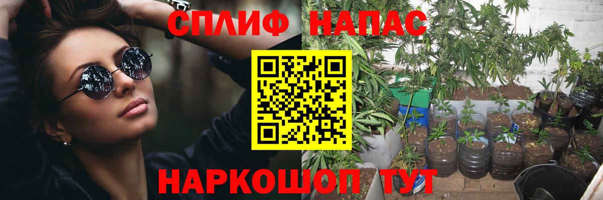 Бошки марихуана тримм  МАРИХУАНА Amnesia  Краснодар  МАРИХУАНА планчик  Вход с VPN 